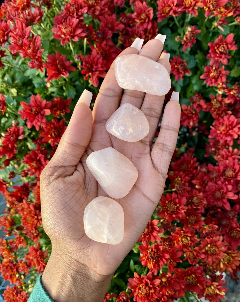 tumbled|raw|rough crystals