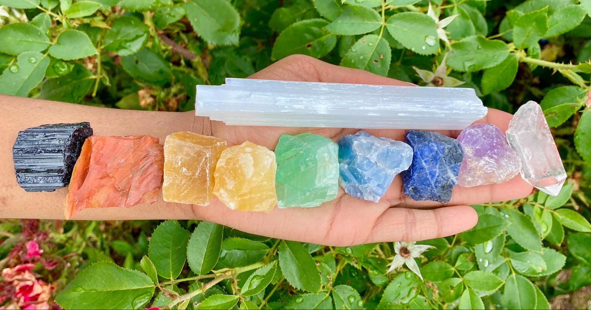 A hand holds a row of colorful raw crystal stones and a tall white selenite wand against a background of green leaves. The crystals include black, orange, yellow, green, blue, purple, and clear varieties.