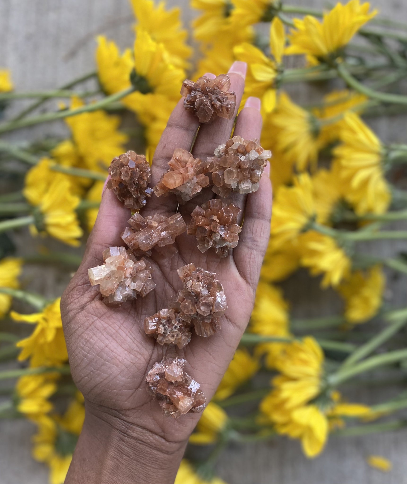 Aragonite facilitate grounding. By grounding, we're able to clear our minds and focus on the present moment. 