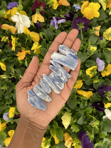 Raw Blue Kyanite blades held in hand over flower garden. Raw Blue Kyanite resonates with the throat chakra.