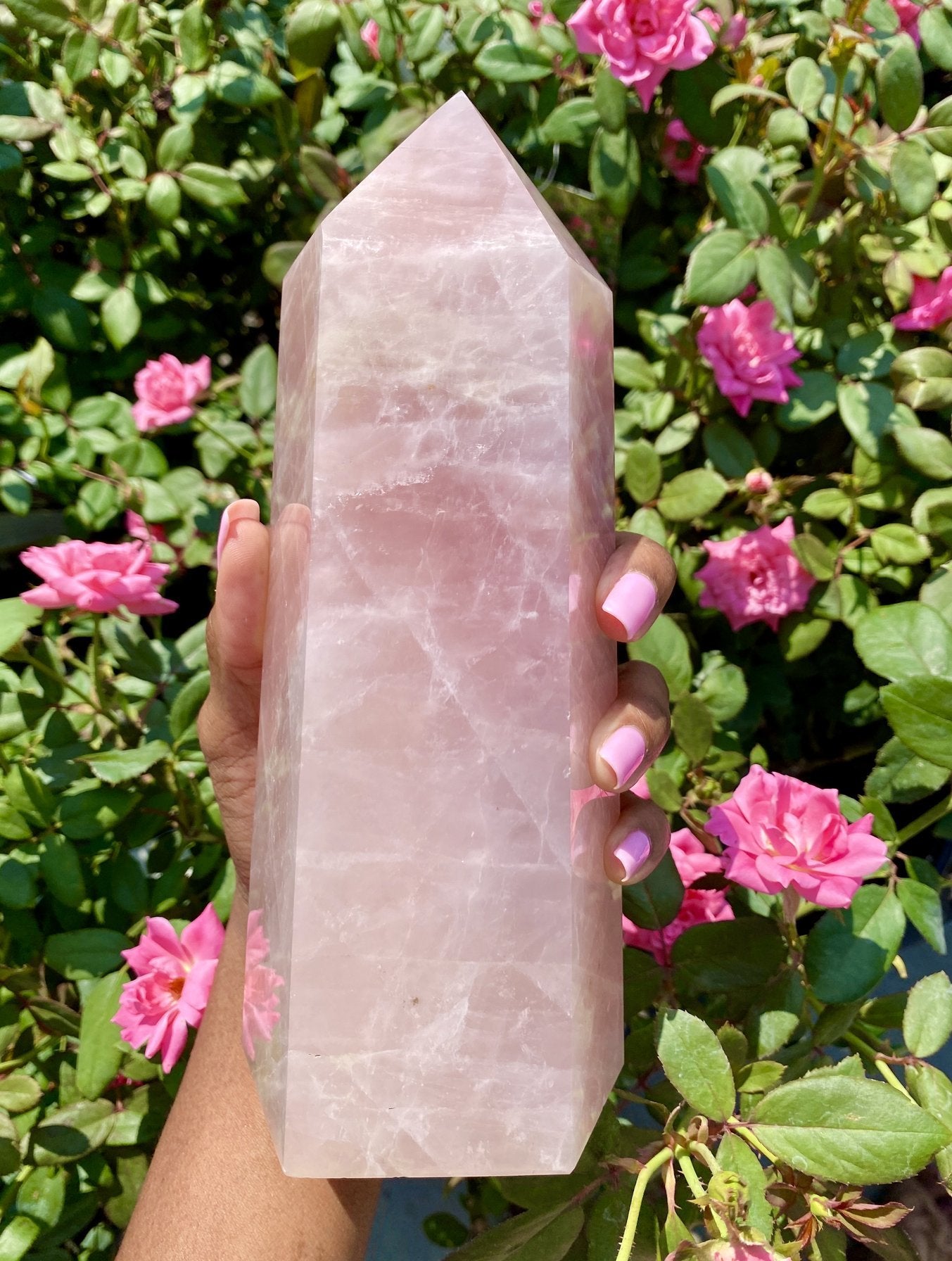 Extra Large Rose Quartz tower held over pink flowers. Rose Quartz is a gem for universal love. It helps us to see beyond unhealthy thoughts to love ourselves and others.