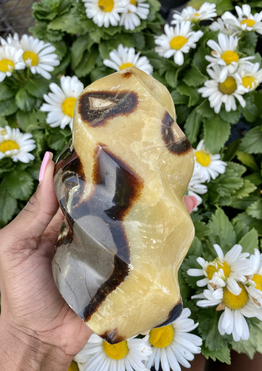 Septarian Spiral