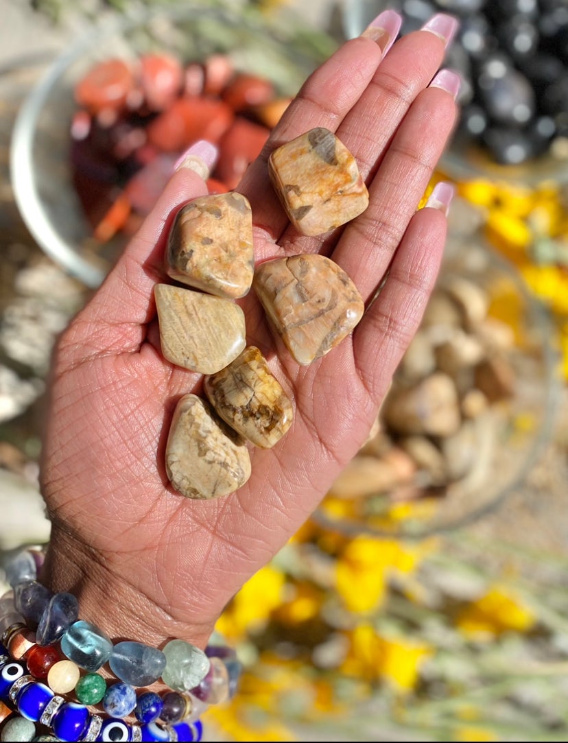 Zebradorite helps one overcome tragedy and brings peace during times where one is experiencing emotional trauma.  Zebradorite encourages cooperation and helps one to be comfortable in group situations where otherwise they may become nervous or anxious.