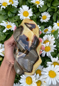 Septarian is a stone for overall healing. It helps to awaken you while on your spiritual journey, while also shielding (or protecting) your physical and spiritual bodies from psychic attacks and negative influences.